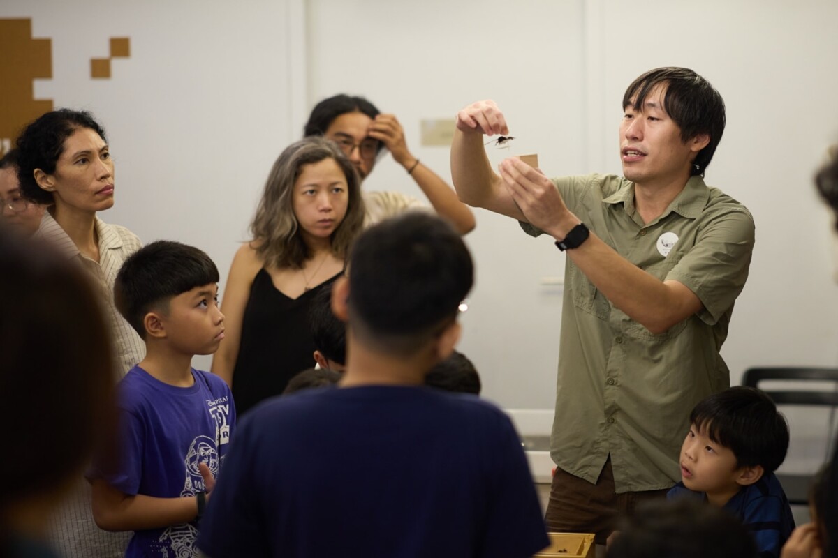 Signal & Swarm Curious Pangolin workshop