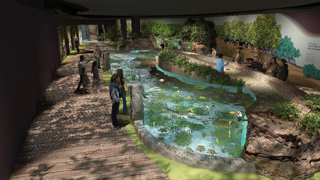 Mangrove habitat exhibit inside Singapore Oceanarium