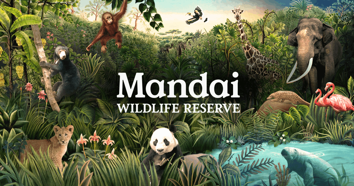 STB robodog guides Mandai Wildlife Reserve