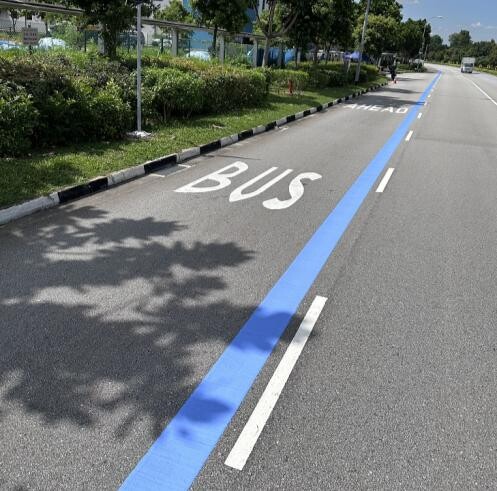 Solid blue line marking the Sunday Cycling Lane beside a bus lane marking on a tree-lined road