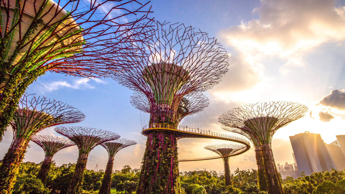 Supertree Grove at Gardens by the Bay