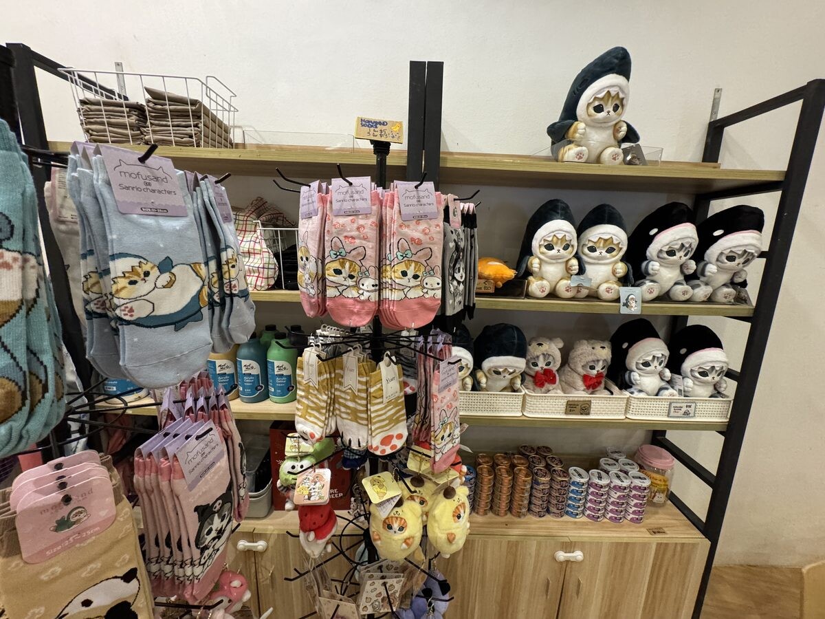 Cat-themed socks plushies and accessories on shelves at The Cat Cafe Bugis