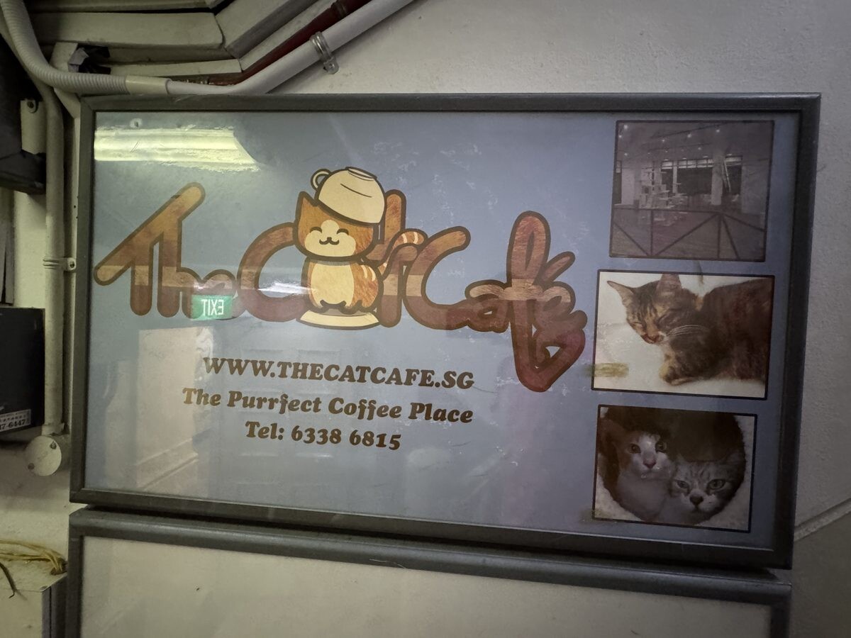 Signage for The Cat Cafe Bugis with The Purrrfect Coffee Place tagline