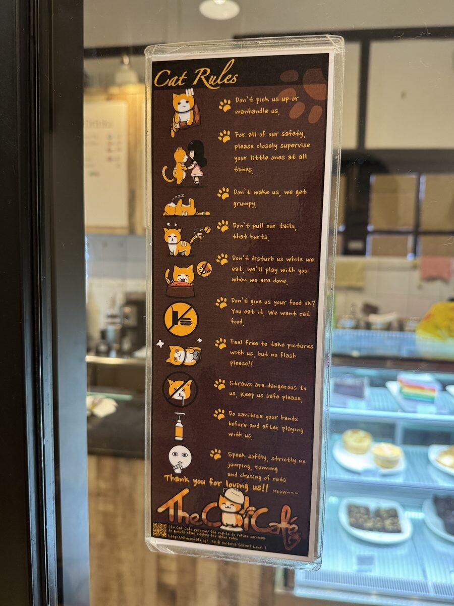 The Cat Cafe house rules sign including don't disturb us while we eat