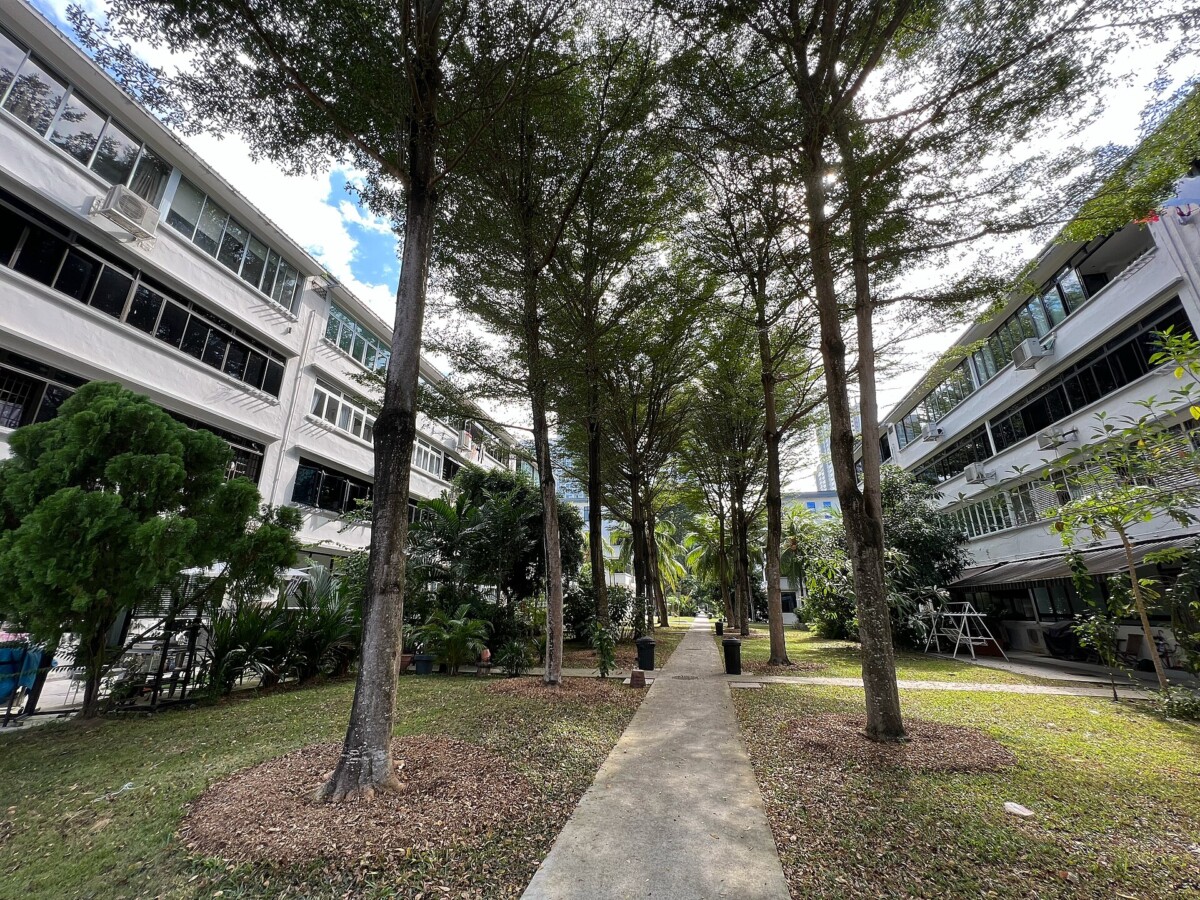 Tree-lined footpath between two white Singapore Improvement Trust walk-up blocks in Tiong Bahru