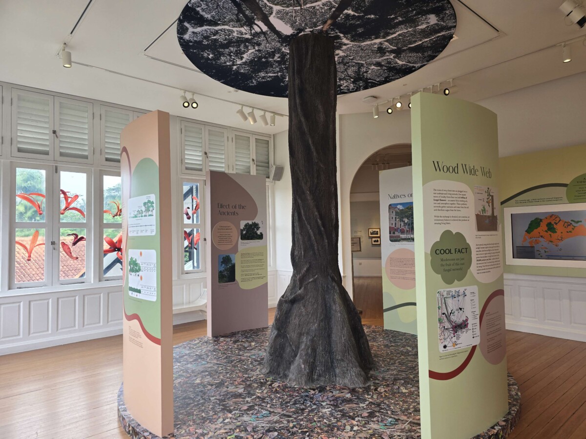 Forest Discovery Centre display for Trees Create Forests