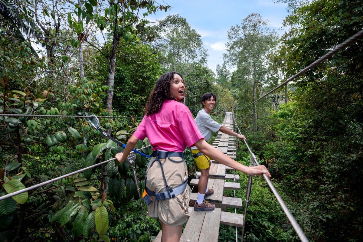 Treetop Traverse harnessed course Rainforest Wild Adventure