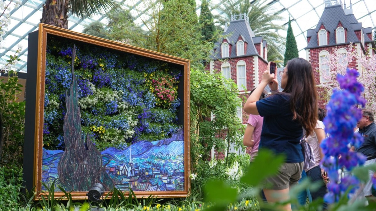 Tulipmania 2026 Starry Night floral display