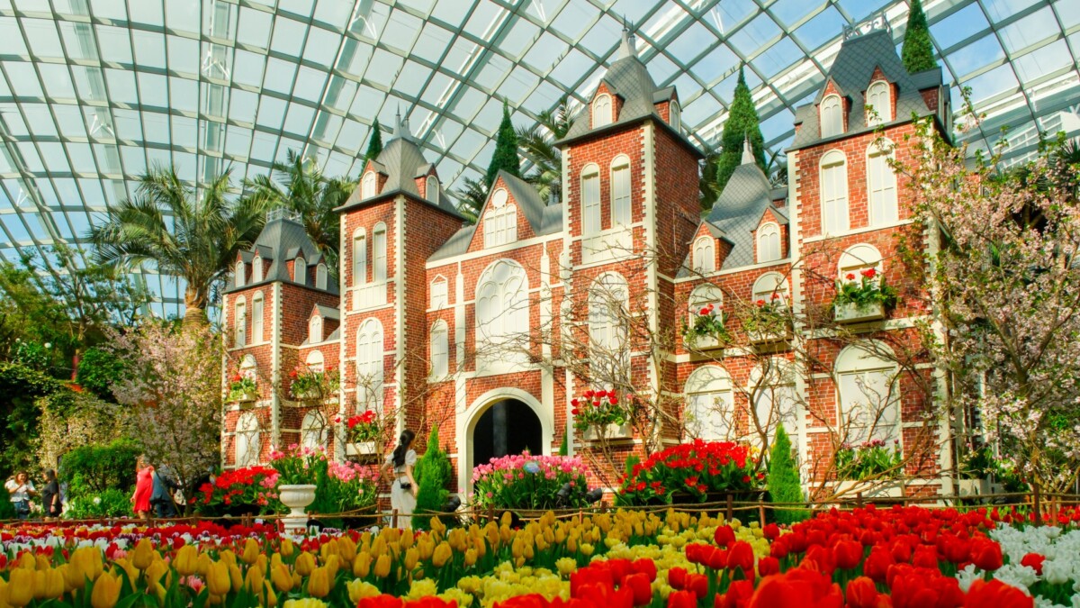 Tulipmania 2026 Rijksmuseum display at Flower Dome