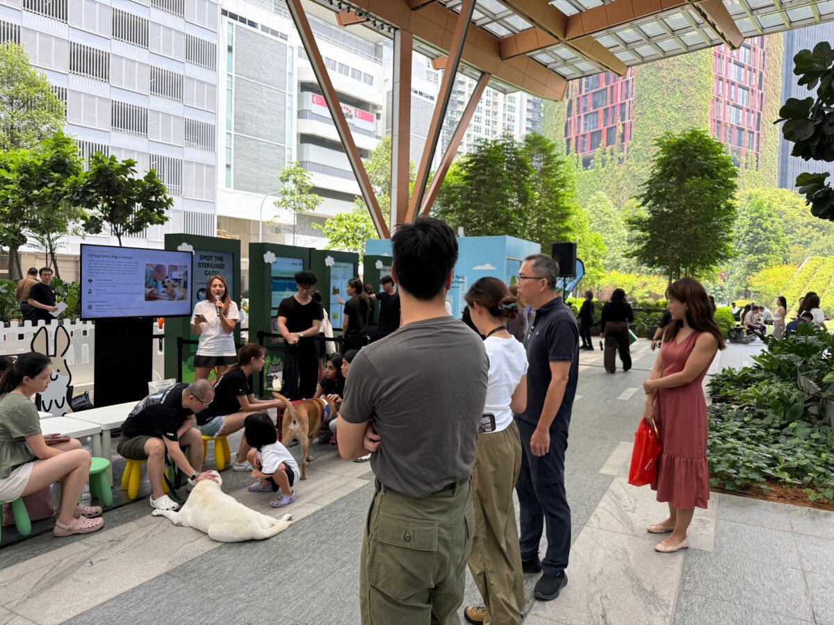 A crowd watches a speaker beside a screen as dogs rest on the floor nearby